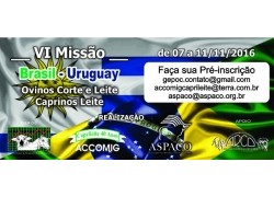 VI MISSÃO BRASIL – URUGUAY 07 a 11/11/2016 Participe!