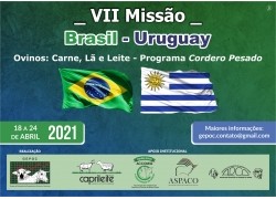 VII MISSÃO BRASIL - URUGUAY 18 a 24/04/2021